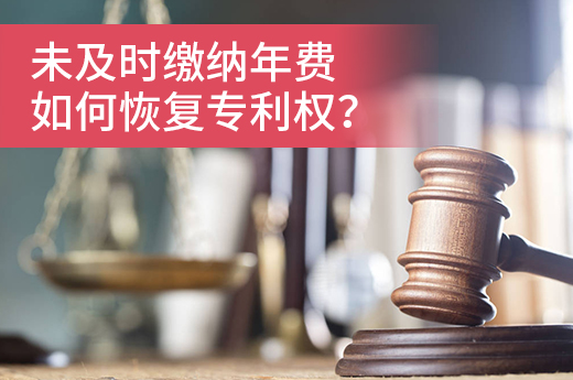 未及时缴纳专利年费，专利权还能恢复吗？|咕咕狗知识产权